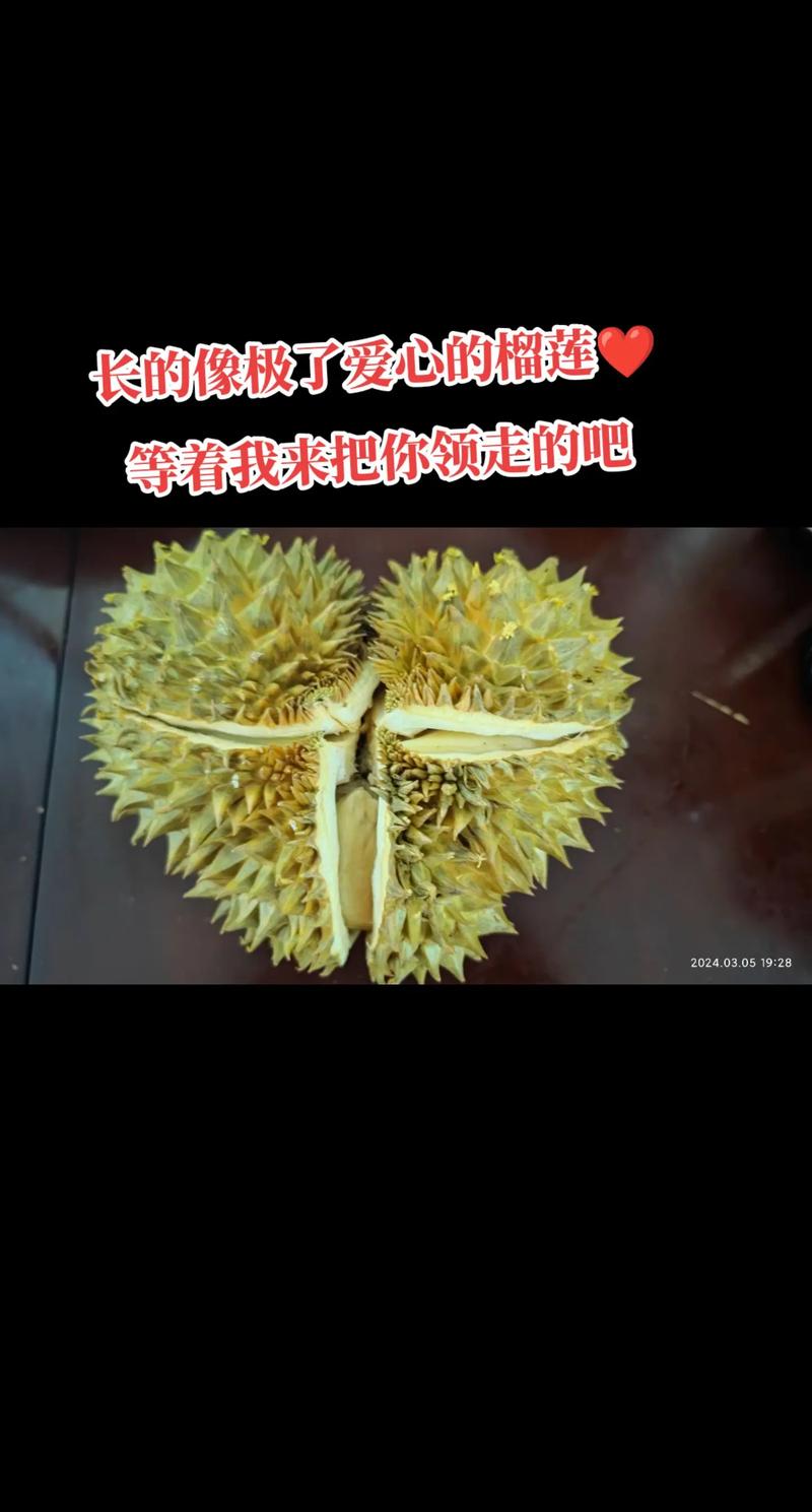 lll999 榴莲视频:一款汇聚各种榴莲视频的应用,满足你对榴莲的热爱
