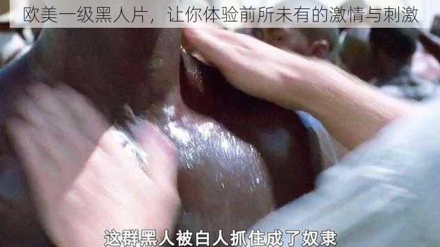 欧美一级黑人片,让你体验前所未有的激情与刺激