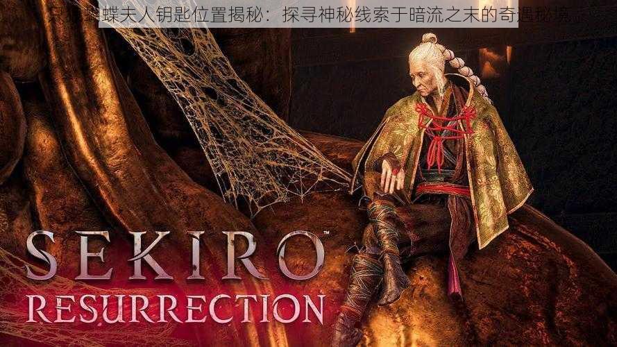 只狼蝴蝶夫人钥匙位置揭秘:探寻神秘线索于暗流之末的奇遇秘境
