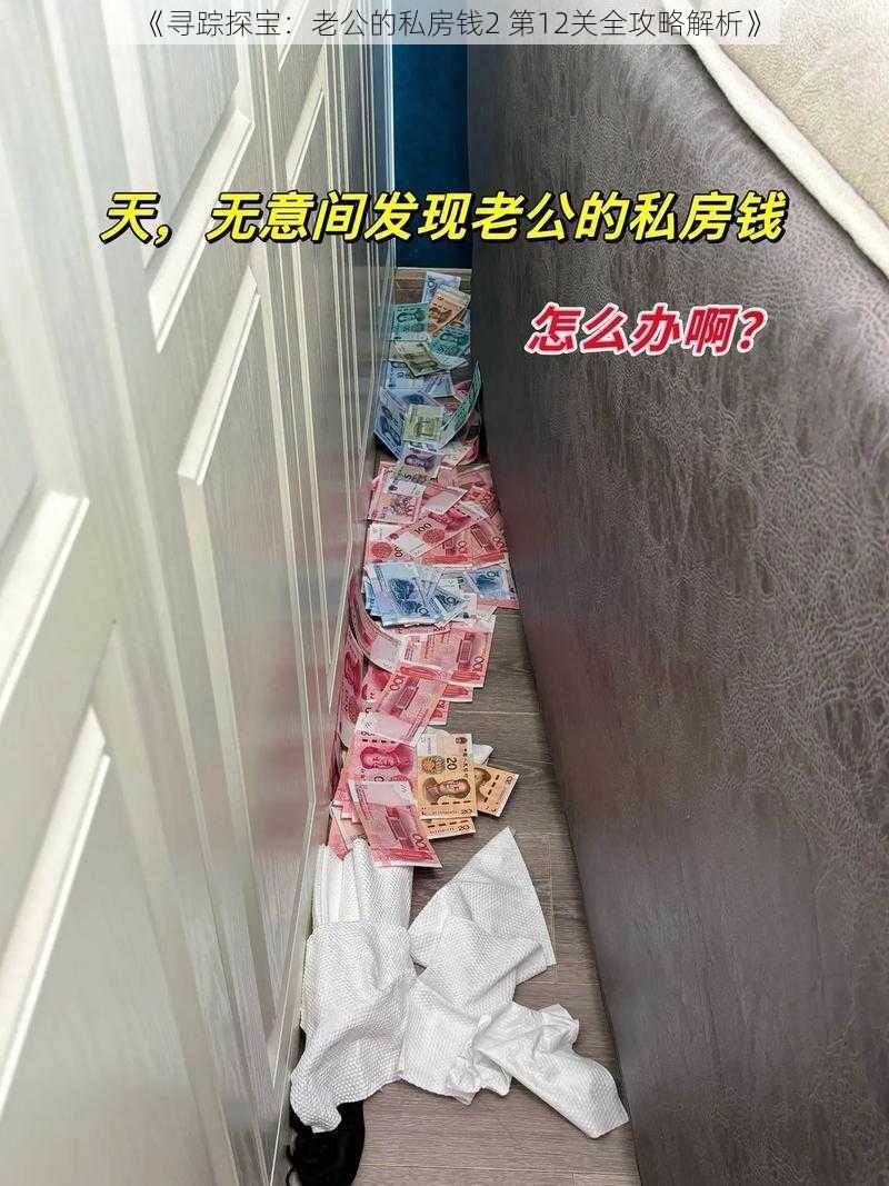 《寻踪探宝:老公的私房钱2 第12关全攻略解析》